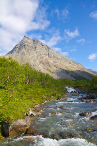 流动 徒步旅行 太阳 森林 小山 旅行 夏天 攀登 全景