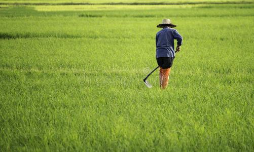 农民扛锄头图片