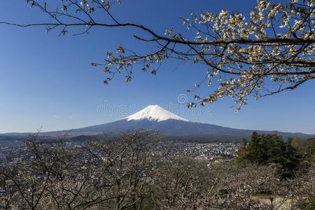 富士山