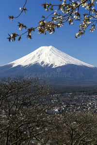 富士山