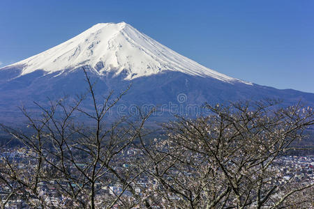 富士山