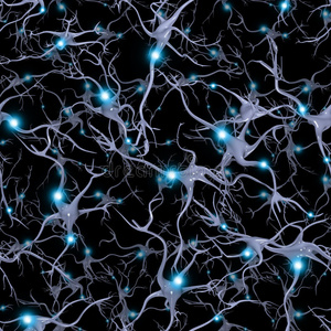 无缝可重复的脑细胞照片