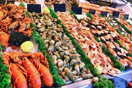 海鲜展示会照片