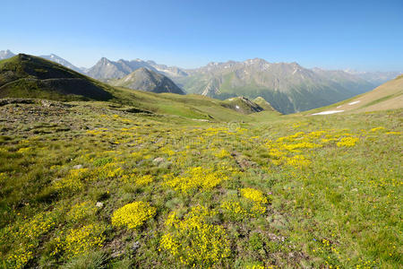 夏季高山色彩