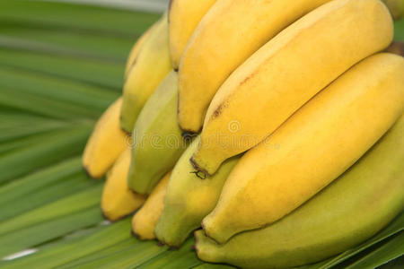 一串香蕉，孤立的