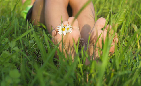 小脚在草地上。