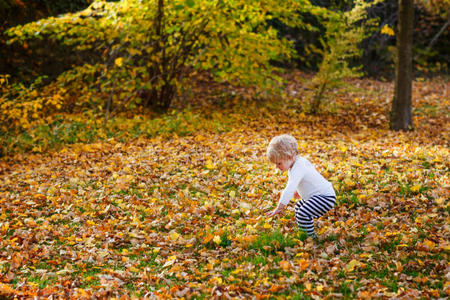 秋天公园里的小男孩