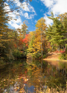 秋色环绕镜湖图片