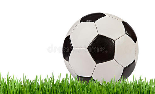 草地足球，白色背景