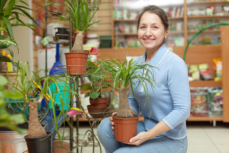 女人和植物图片