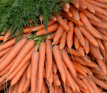 一堆新摘的胡萝卜照片