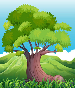 大树分支图片-大树分支素材-大树分支插画-摄图新视界