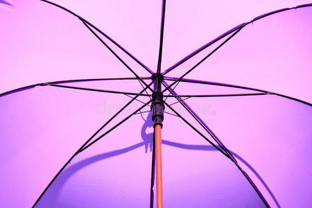 紫伞内图片