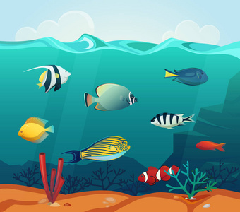 海洋色彩缤纷鱼与底部的珊瑚图片