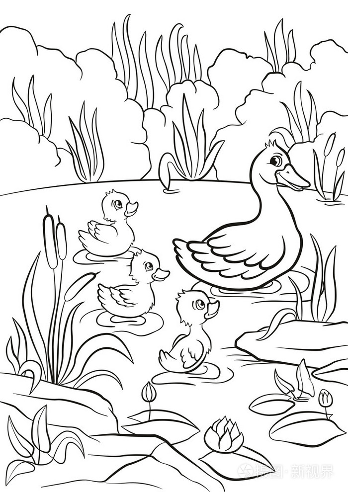 鸭群戏水的简笔画图片