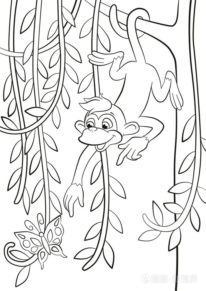 摄图新视界 插画 动物 monkey in hanging on the tree branch.eps
