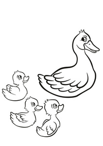 小鸭子在河里游泳鸭妈妈和她三只可爱的小鸭子在池塘里游泳鸭妈妈和她