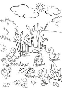 小鸭子游泳图片-小鸭子游泳素材-小鸭子游泳插画-摄图新视界