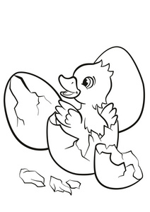 小可爱小鸭从蛋孵出来.它是微笑和快乐照片