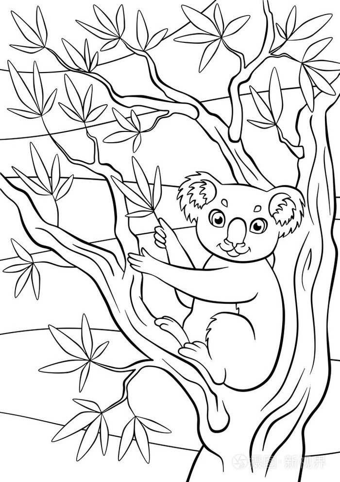 小可爱的考拉,树上坐着,握紧桉树插画-正版商用图片0qms36-摄图新视界
