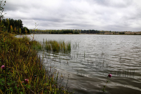 在阴天的秋天, 草平静的好湖