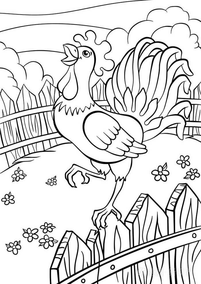 可爱的公鸡站在篱笆和哭泣插画-正版商用图片0qmuj6-摄图新视界