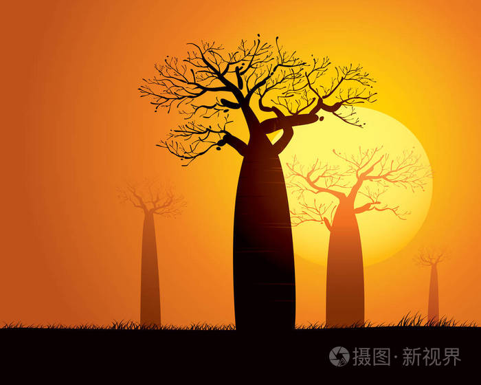 猴面包树在干燥的草原插画-正版商用图片0qn3fe-摄图新视界