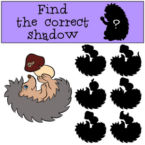 动物刺猬卡通主题元素图标元素找到正确的影子.