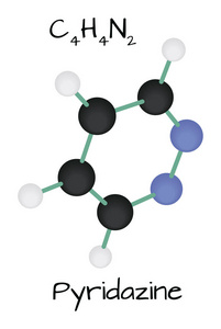 h4n2 哒嗪分子