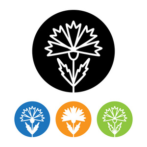 美丽的康乃馨花图标照片