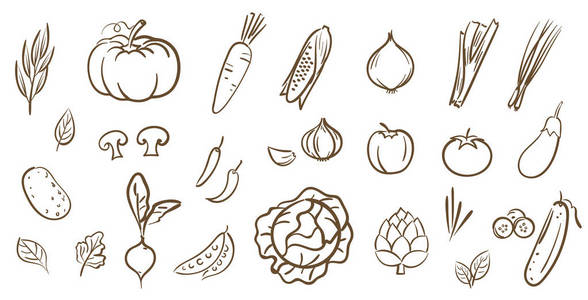 混合蔬菜收藏, 可爱线条艺术矢量插画卡通风格照片