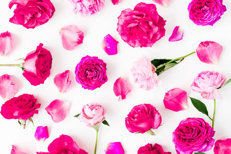 白色背景上的粉彩和明亮的粉红色玫瑰花图案, 顶部视图