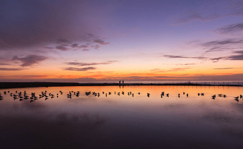 澳大利亚纽卡斯尔海浴和平多彩的日出天空