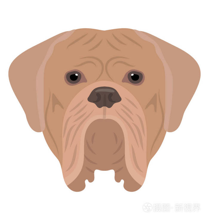 大嘴巴和外耳朵的动物, 描绘斗牛犬插画-正版商用图