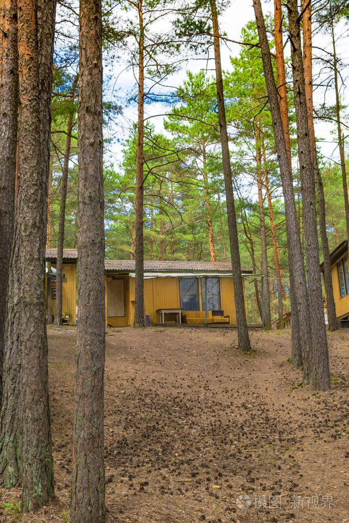 木房子, campisites 在松树林, 健康的生活方式。放松与和谐