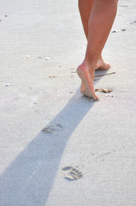海滩上湿沙子上的脚印
