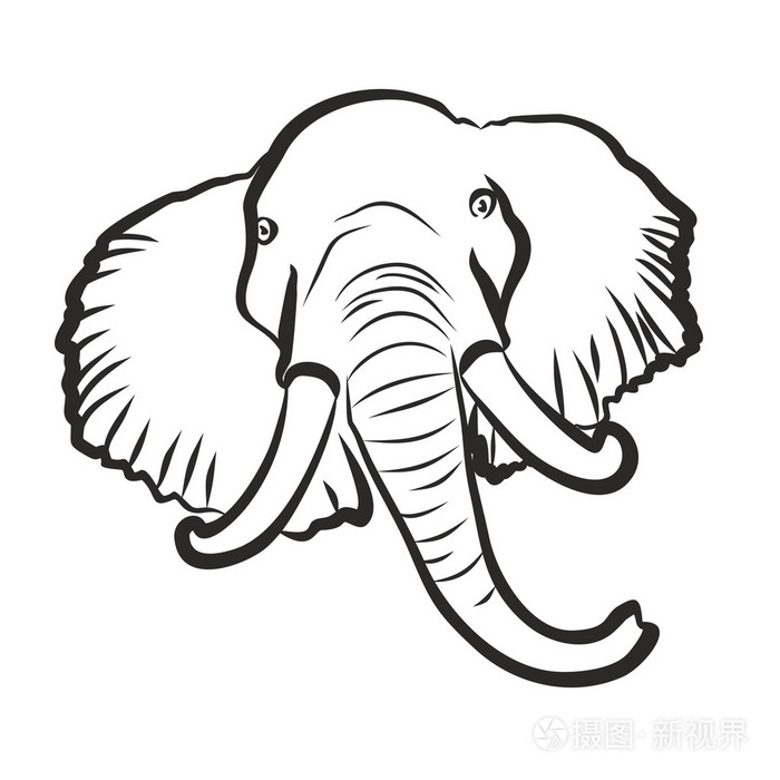 大象的剪影