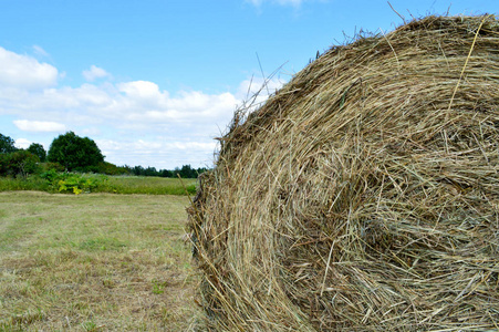 一轮天然干干草稻草的质地是在农场的一个村庄里的干草, 在蓝天上有云。动物饲料的收获。的背景