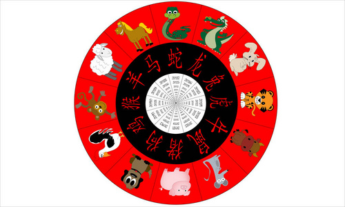 龙和虎图片