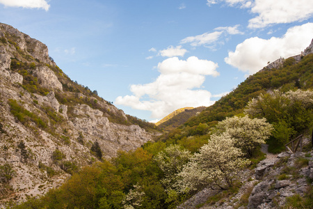 Val Rosandra 的视图