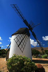 风车在安提瓜 富埃特文图拉，加那利群岛，西班牙
