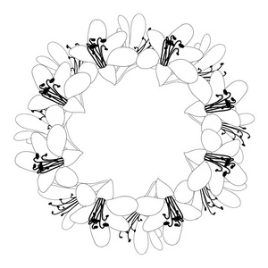 百子莲花轮廓花圈在白色背景。矢量插图