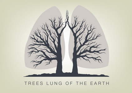 树木   地球的肺