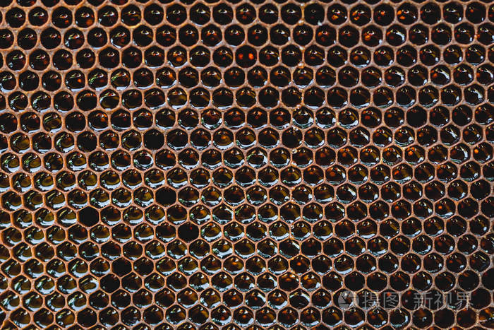 背景六角纹理, 蜡蜂窝从一个蜂蜂巢充满金色蜂蜜.