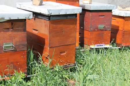 蜂箱和蜂蜜