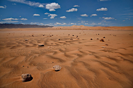 蒙古。著名的 Hongoryn 沙丘位于戈壁沙漠的东北部。长度120公里以35 公里的宽度沙丘到达高度 300 m