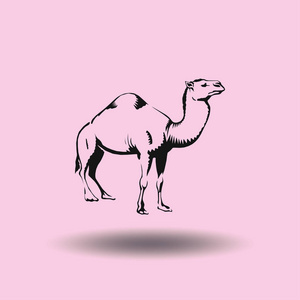 骆驼的图标的轮廓矢量图