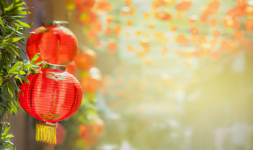 唐人街春节在唐人街的中国新年灯笼照片