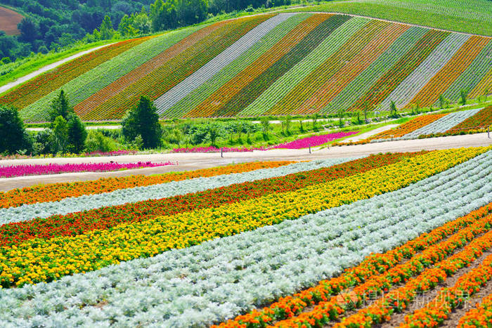 在北海道的花园