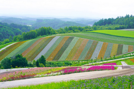 在北海道的花园